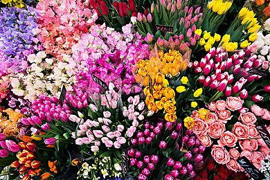 任天堂要求加州法院公开泄密者身份 散播大量宝可梦情报